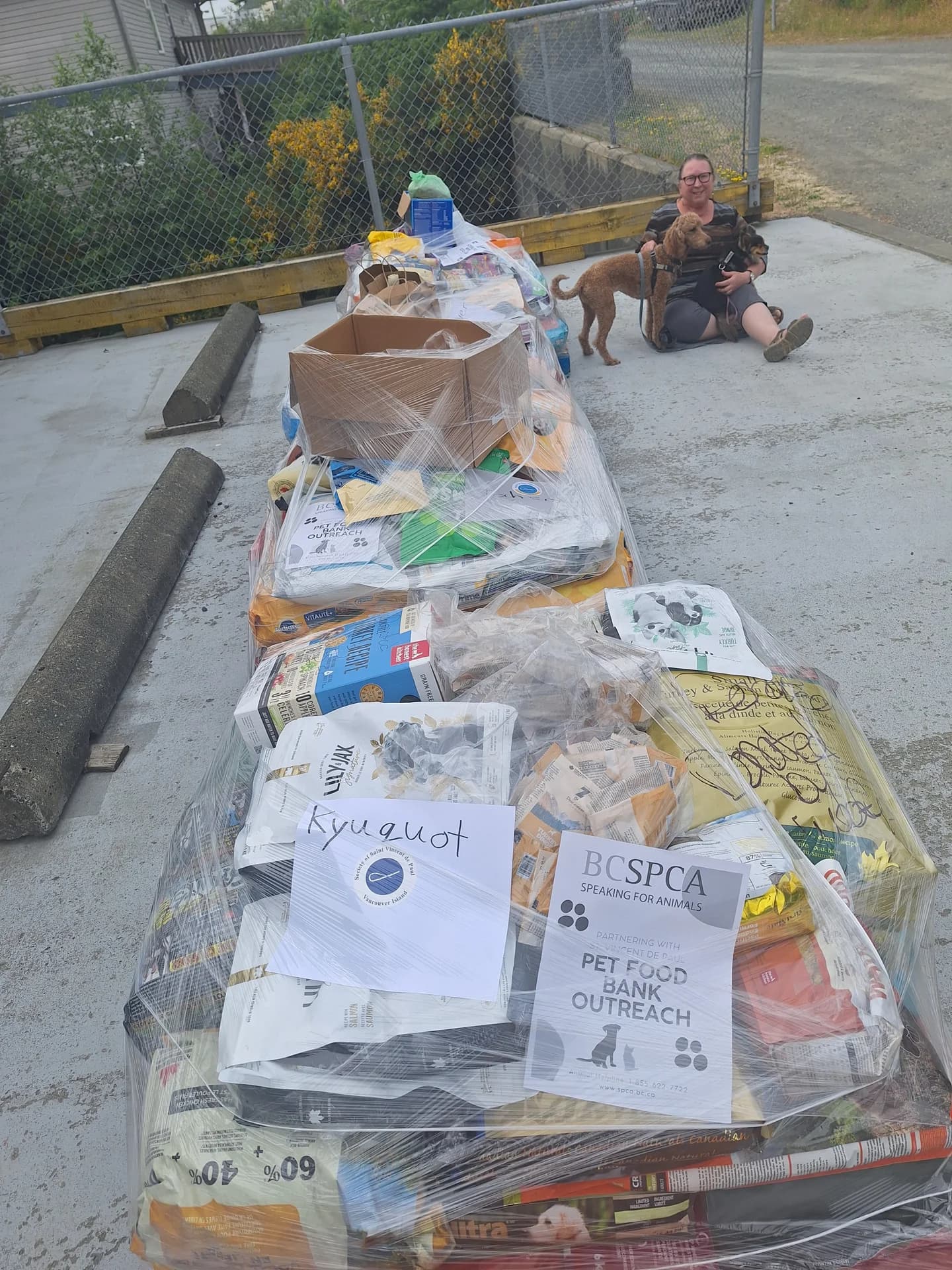 Pallets of donated pet food for Saint Vincent de Paul outreach, with a woman and two dogs beside them.